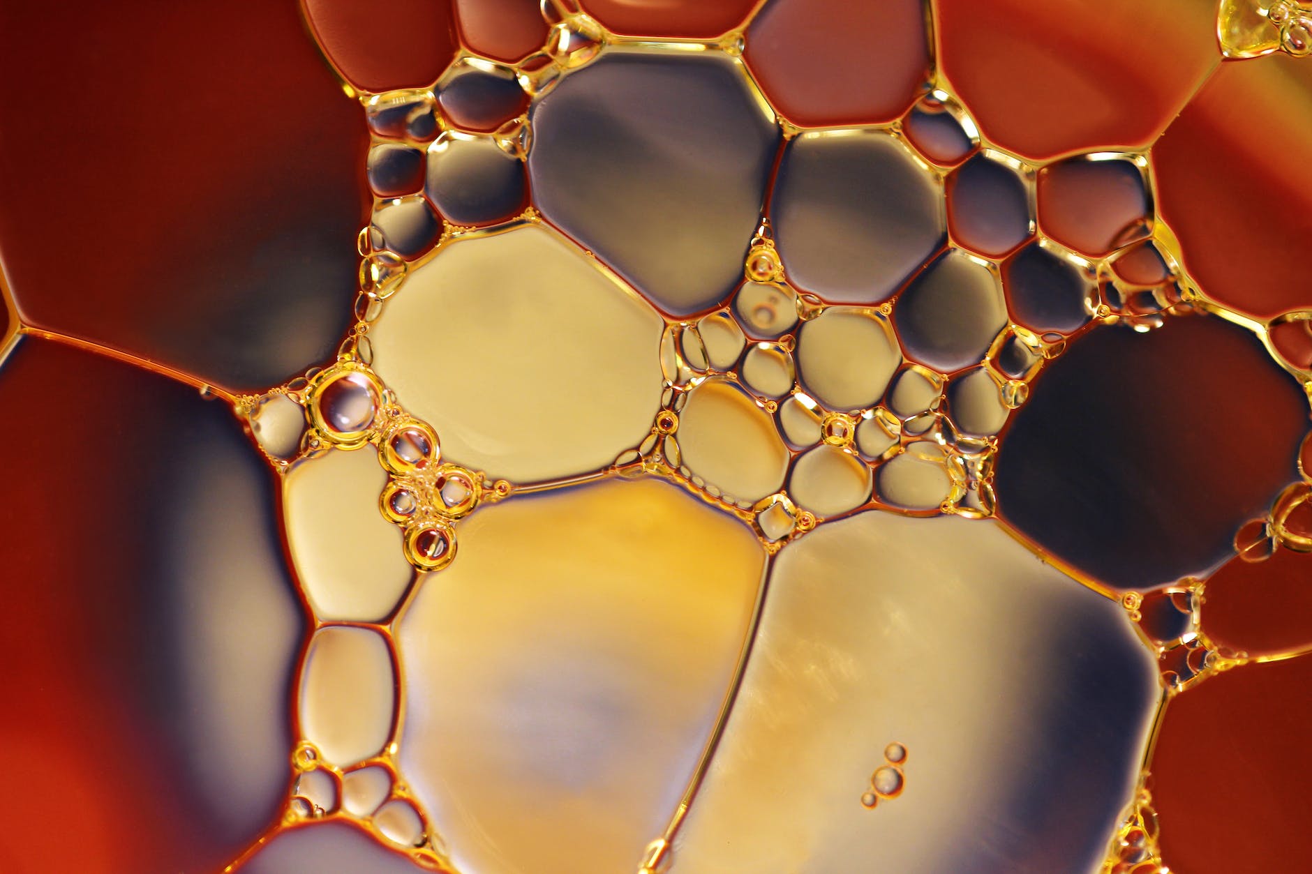 bubbles chemistry close up color